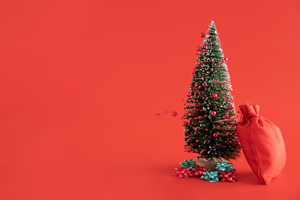 arrangement-with-red-sack-fir-tree